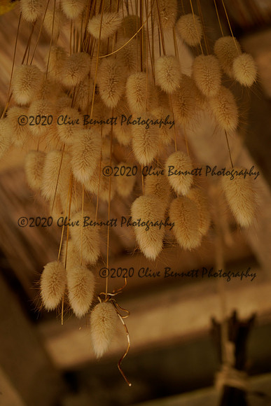 _CAB1501