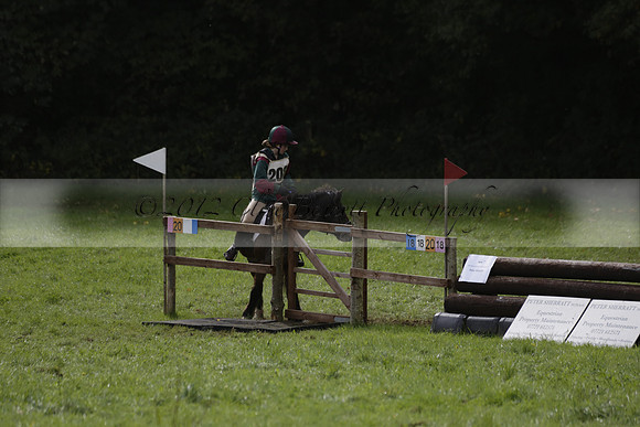Chiddingfold, Leconfield and Cowdray Hunt, Hunter Trials at Iping on Sunday 20 October 2013. 2013.10.20 www.polopictures.co.uk