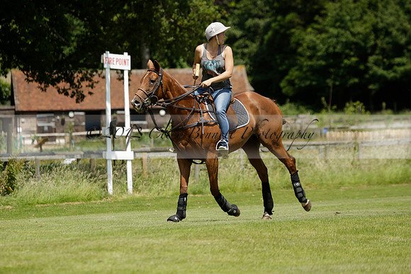 Maiz Dulce v Emlor in a Barrett Cup Polo match 2013.06.30