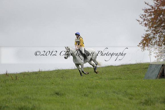 Chiddingfold, Leconfield and Cowdray Hunt, Hunter Trials at Iping on Sunday 20 October 2013. 2013.10.20 www.polopictures.co.uk