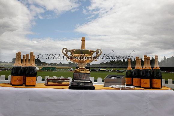 at the Veuve Clicquot Gold Cup Final Cowdray Park Polo Club on Sunday July 2012