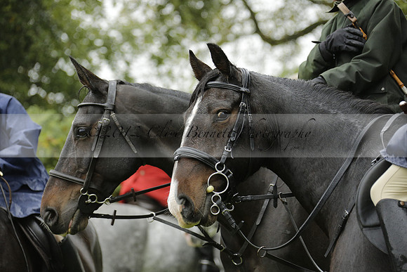 Devon & Somerset Stag Hounds meet at Liscombe on Saturday 12 October 2013 2013.10.12 www.polopictures.co.uk
