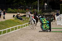 _CAB3819 (1)