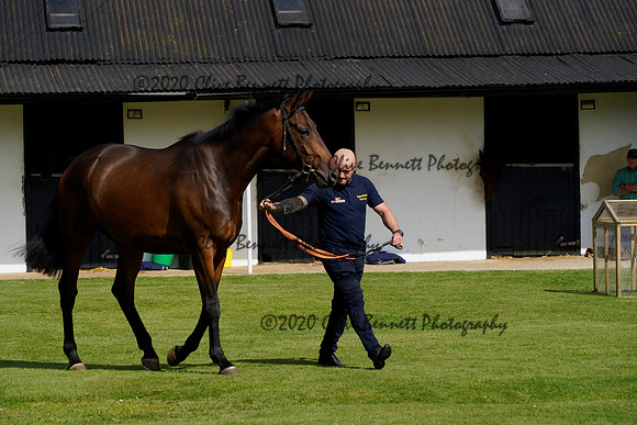 _CAB3453