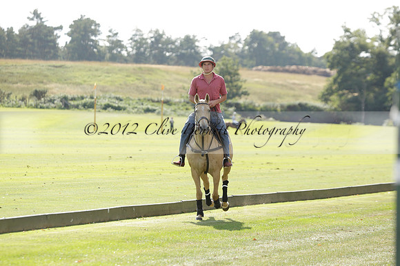 Pandas (white) v Home Farm (navy) in a Park House West Sussex Cup Polo match on Brooksfield at Cowdray Park Polo Club on Friday 30 August 2013. 2013.08.30 www.polopictures.co.uk