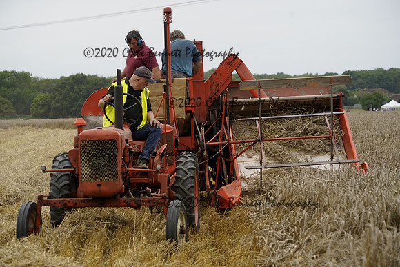 _CAB8481