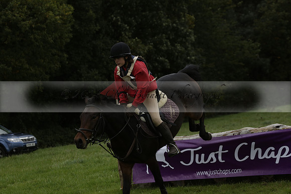 Chiddingfold, Leconfield and Cowdray Hunt, Hunter Trials at Iping on Sunday 20 October 2013. 2013.10.20 www.polopictures.co.uk