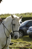 Devon & Somerset StagHounds meet at Five Cross Ways on Thursday 17 October 2013. 2013.10.17 www.polopictures.co.uk