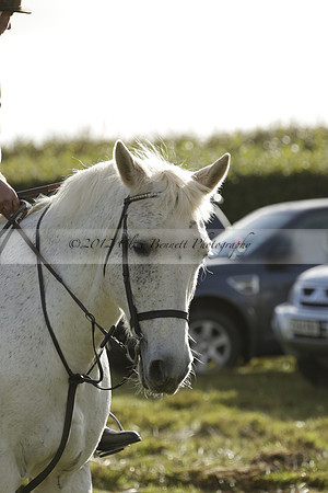 Devon & Somerset StagHounds meet at Five Cross Ways on Thursday 17 October 2013. 2013.10.17 www.polopictures.co.uk