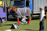 Maiz Dulce v Jaeger Le Coultre Tyro Cup Polo match 2013.05.02