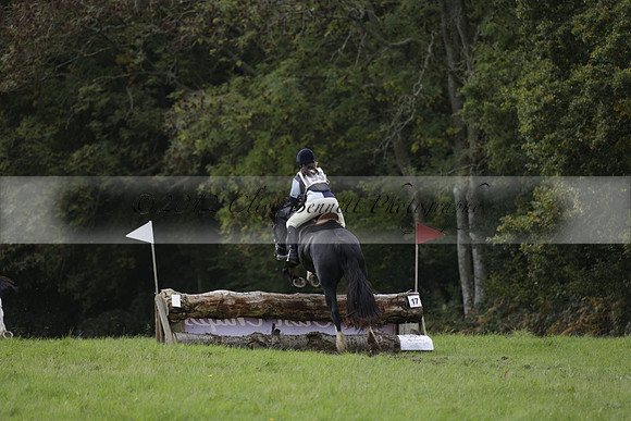 Chiddingfold, Leconfield and Cowdray Hunt, Hunter Trials at Iping on Sunday 20 October 2013. 2013.10.20 www.polopictures.co.uk