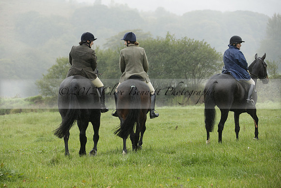 Devon & Somerset Stag Hounds meet at Liscombe on Saturday 12 October 2013 2013.10.12 www.polopictures.co.uk