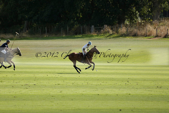 Pandas (white) v Home Farm (navy) in a Park House West Sussex Cup Polo match on Brooksfield at Cowdray Park Polo Club on Friday 30 August 2013. 2013.08.30 www.polopictures.co.uk