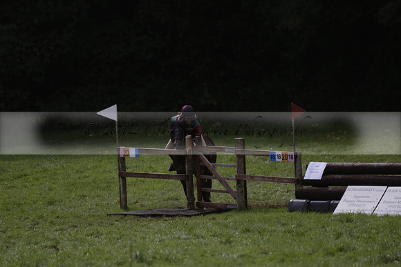 Chiddingfold, Leconfield and Cowdray Hunt, Hunter Trials at Iping on Sunday 20 October 2013. 2013.10.20 www.polopictures.co.uk