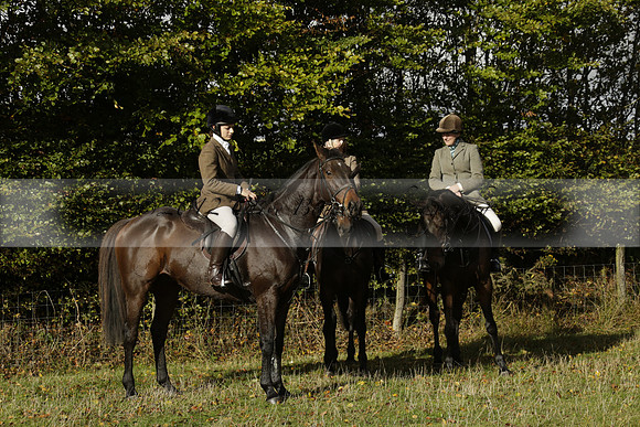 Devon & Somerset StagHounds meet at Five Cross Ways on Thursday 17 October 2013. 2013.10.17 www.polopictures.co.uk