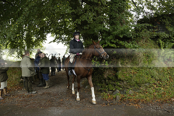 Devon & Somerset Stag Hounds meet at Liscombe on Saturday 12 October 2013 2013.10.12 www.polopictures.co.uk