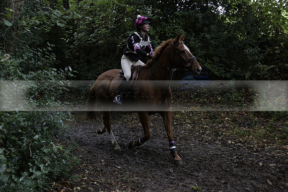 Chiddingfold, Leconfield and Cowdray Hunt, Hunter Trials at Iping on Sunday 20 October 2013. 2013.10.20 www.polopictures.co.uk