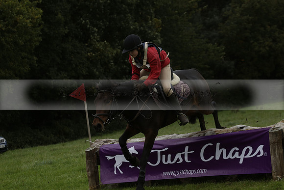 Chiddingfold, Leconfield and Cowdray Hunt, Hunter Trials at Iping on Sunday 20 October 2013. 2013.10.20 www.polopictures.co.uk