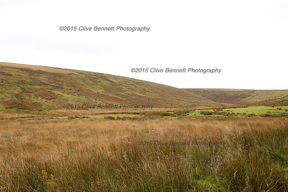 _CB_9944