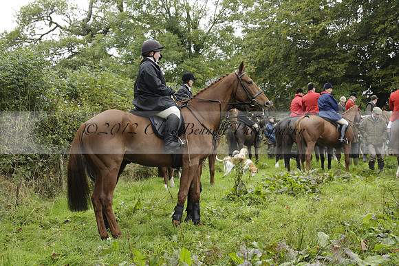 Devon & Somerset Stag Hounds meet at Liscombe on Saturday 12 October 2013 2013.10.12 www.polopictures.co.uk