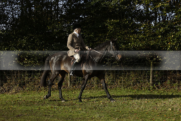 Devon & Somerset StagHounds meet at Five Cross Ways on Thursday 17 October 2013. 2013.10.17 www.polopictures.co.uk