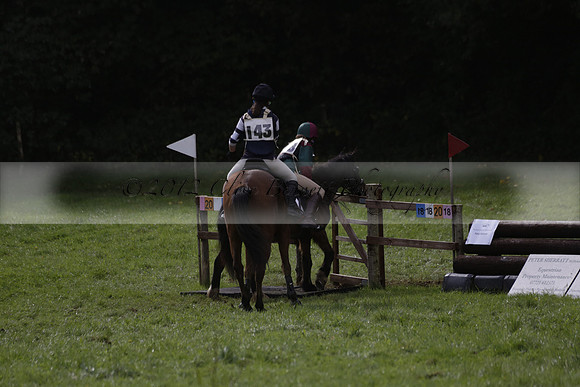 Chiddingfold, Leconfield and Cowdray Hunt, Hunter Trials at Iping on Sunday 20 October 2013. 2013.10.20 www.polopictures.co.uk