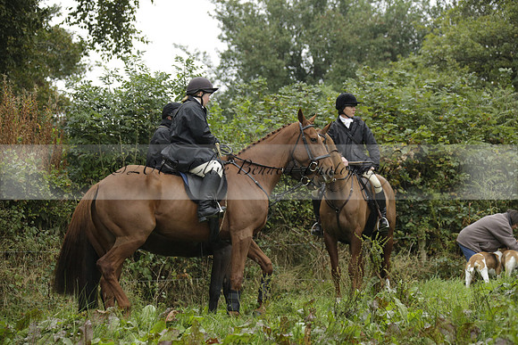 Devon & Somerset Stag Hounds meet at Liscombe on Saturday 12 October 2013 2013.10.12 www.polopictures.co.uk