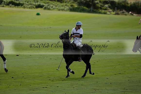 Pandas (white) v Home Farm (navy) in a Park House West Sussex Cup Polo match on Brooksfield at Cowdray Park Polo Club on Friday 30 August 2013. 2013.08.30 www.polopictures.co.uk