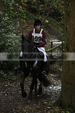 Chiddingfold, Leconfield and Cowdray Hunt, Hunter Trials at Iping on Sunday 20 October 2013. 2013.10.20 www.polopictures.co.uk