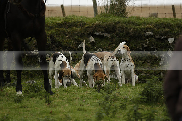 Devon & Somerset Staghounds meet at Larkbarrow Corner. North Devon. 2013.10.18 www.polopictures.co.uk