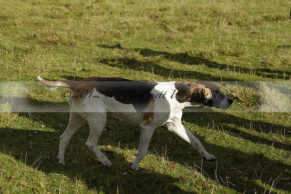 Devon & Somerset StagHounds meet at Five Cross Ways on Thursday 17 October 2013. 2013.10.17 www.polopictures.co.uk