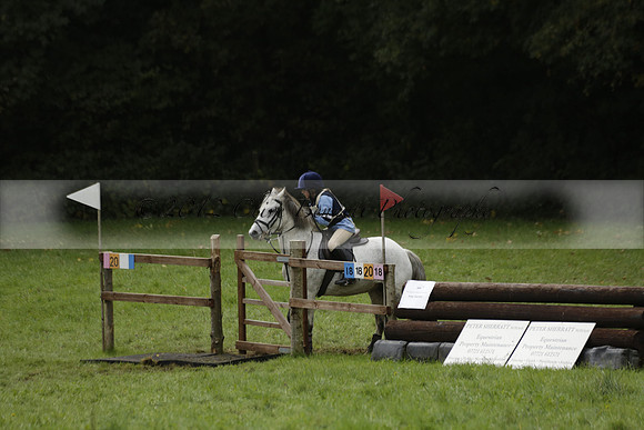 Chiddingfold, Leconfield and Cowdray Hunt, Hunter Trials at Iping on Sunday 20 October 2013. 2013.10.20 www.polopictures.co.uk