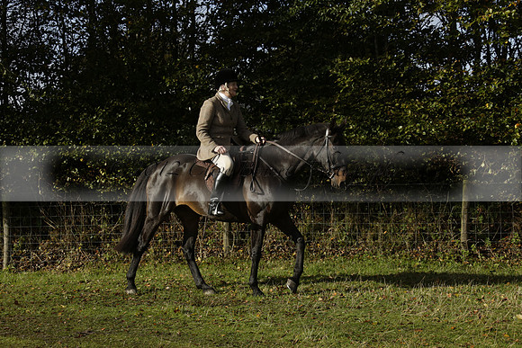 Devon & Somerset StagHounds meet at Five Cross Ways on Thursday 17 October 2013. 2013.10.17 www.polopictures.co.uk
