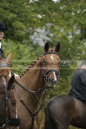 Devon & Somerset Stag Hounds meet at Liscombe on Saturday 12 October 2013 2013.10.12 www.polopictures.co.uk