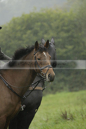 Devon & Somerset Stag Hounds meet at Liscombe on Saturday 12 October 2013 2013.10.12 www.polopictures.co.uk
