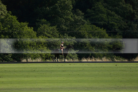 Pandas (white) v Home Farm (navy) in a Park House West Sussex Cup Polo match on Brooksfield at Cowdray Park Polo Club on Friday 30 August 2013. 2013.08.30 www.polopictures.co.uk
