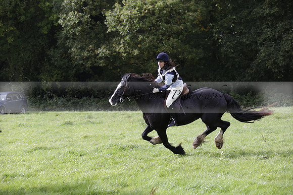 Chiddingfold, Leconfield and Cowdray Hunt, Hunter Trials at Iping on Sunday 20 October 2013. 2013.10.20 www.polopictures.co.uk