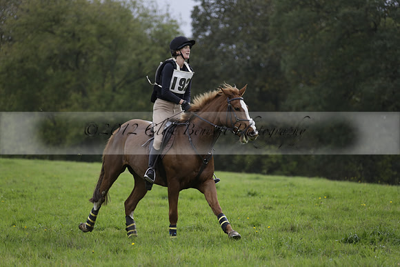 Chiddingfold, Leconfield and Cowdray Hunt, Hunter Trials at Iping on Sunday 20 October 2013. 2013.10.20 www.polopictures.co.uk
