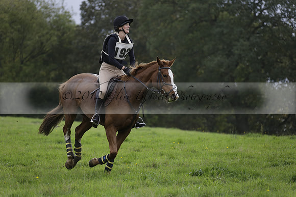 Chiddingfold, Leconfield and Cowdray Hunt, Hunter Trials at Iping on Sunday 20 October 2013. 2013.10.20 www.polopictures.co.uk