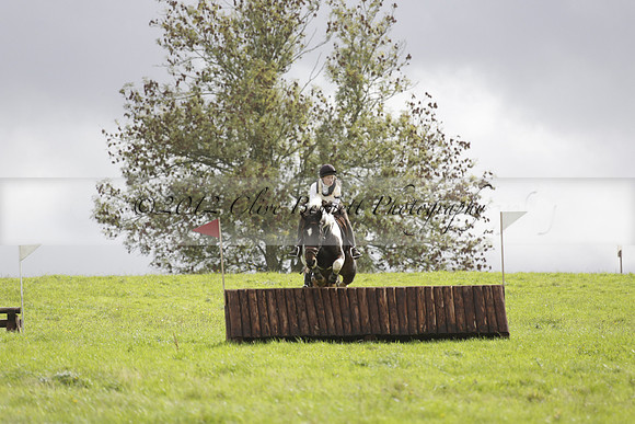 Chiddingfold, Leconfield and Cowdray Hunt, Hunter Trials at Iping on Sunday 20 October 2013. 2013.10.20 www.polopictures.co.uk