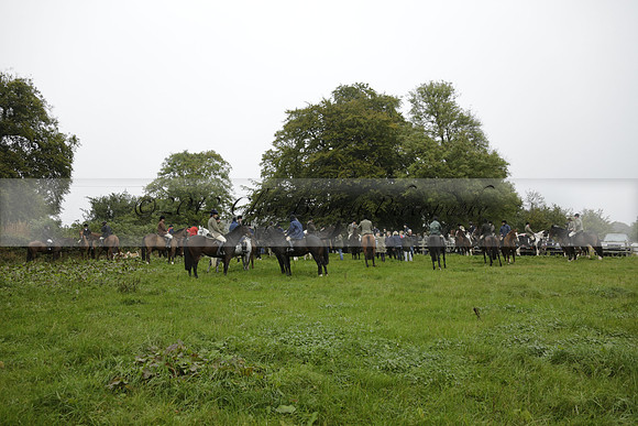 Devon & Somerset Stag Hounds meet at Liscombe on Saturday 12 October 2013 2013.10.12 www.polopictures.co.uk