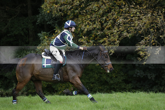 Chiddingfold, Leconfield and Cowdray Hunt, Hunter Trials at Iping on Sunday 20 October 2013. 2013.10.20 www.polopictures.co.uk