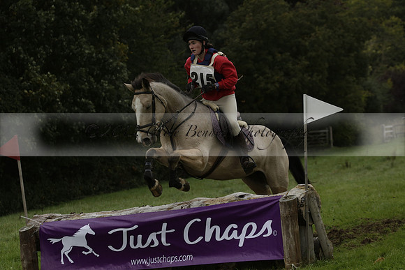 Chiddingfold, Leconfield and Cowdray Hunt, Hunter Trials at Iping on Sunday 20 October 2013. 2013.10.20 www.polopictures.co.uk