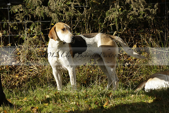 Devon & Somerset StagHounds meet at Five Cross Ways on Thursday 17 October 2013. 2013.10.17 www.polopictures.co.uk