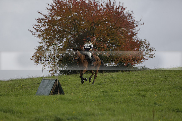 Chiddingfold, Leconfield and Cowdray Hunt, Hunter Trials at Iping on Sunday 20 October 2013. 2013.10.20 www.polopictures.co.uk