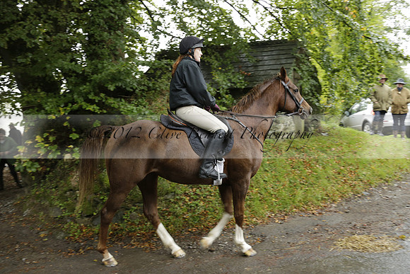 Devon & Somerset Stag Hounds meet at Liscombe on Saturday 12 October 2013 2013.10.12 www.polopictures.co.uk