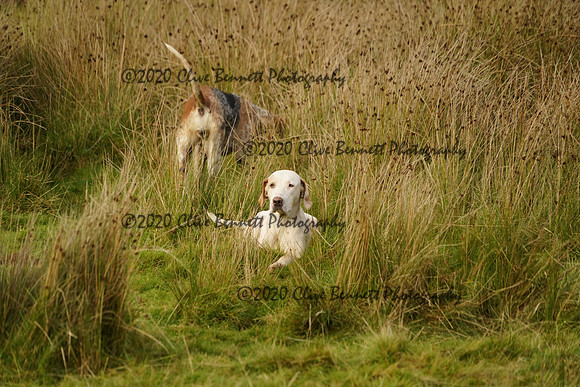 _CAB2217