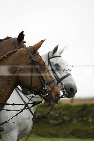 Devon & Somerset Staghounds meet at Larkbarrow Corner. North Devon. 2013.10.18 www.polopictures.co.uk