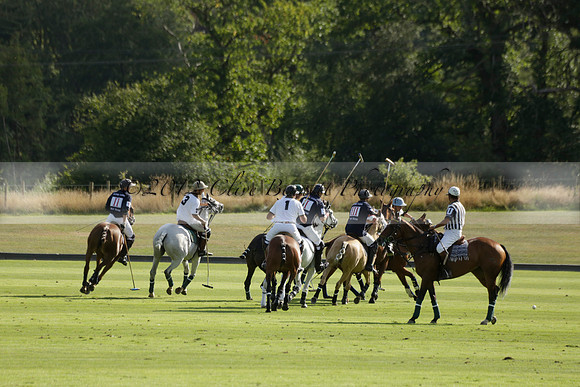 Pandas (white) v Home Farm (navy) in a Park House West Sussex Cup Polo match on Brooksfield at Cowdray Park Polo Club on Friday 30 August 2013. 2013.08.30 www.polopictures.co.uk