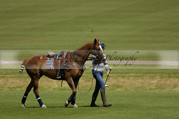 Maiz Dulce v Pluma Negra in a Jubilee 6 Goal Polo match 2013.05.27